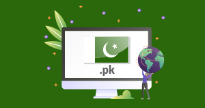 Pakistan domain .pk